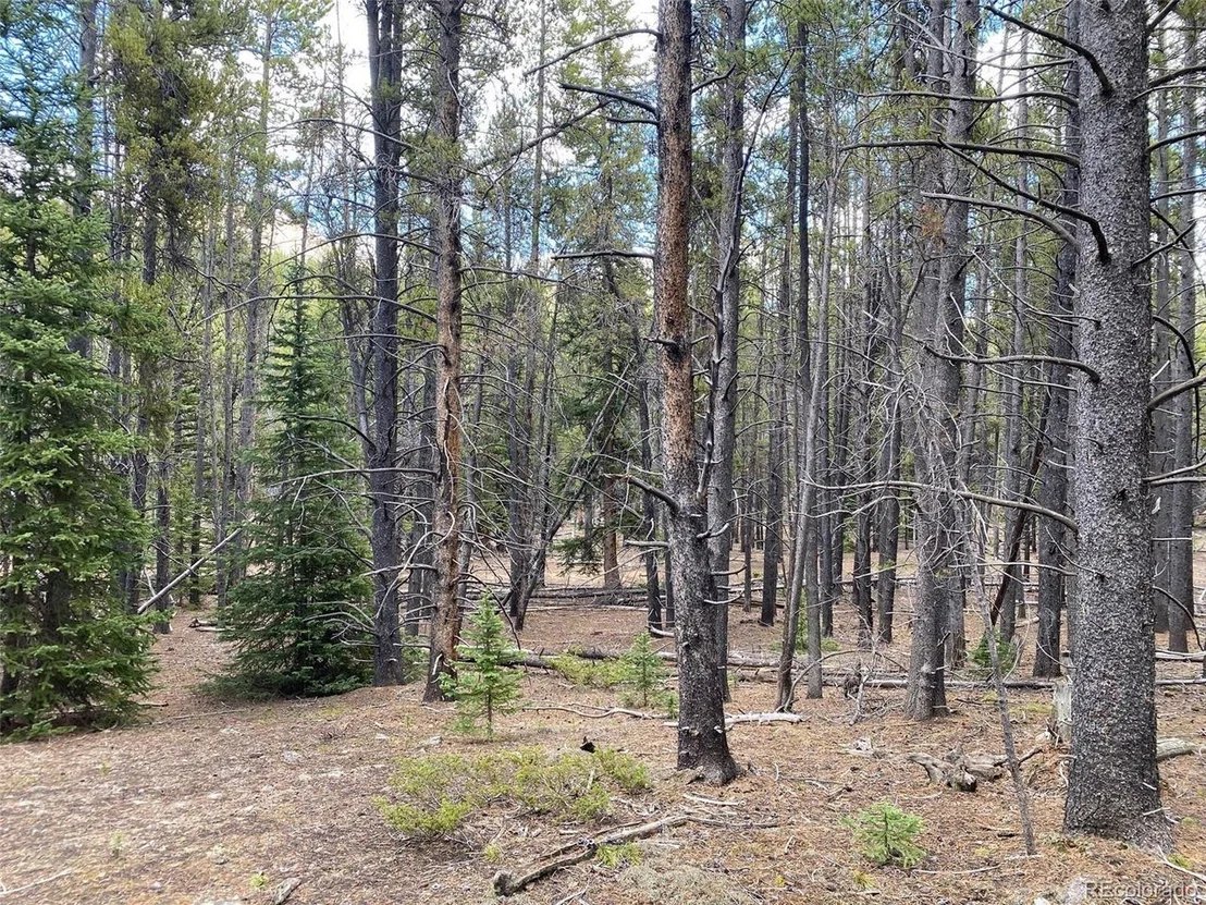 Photo of County Road 50