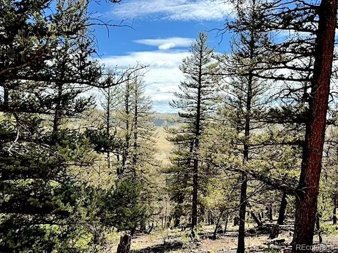 Photo of 2022 Middle Fork Vis