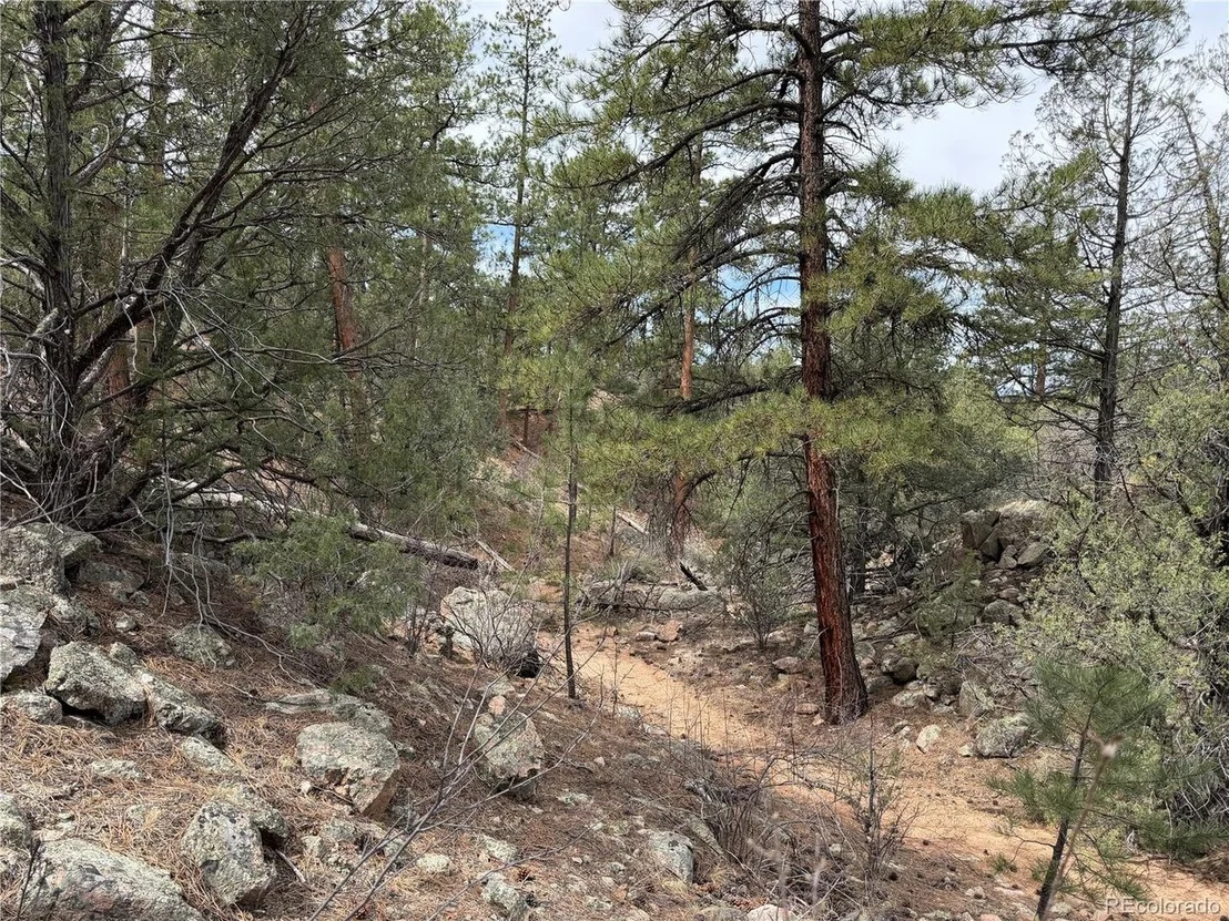 Photo of 672 Coyote Run Trl