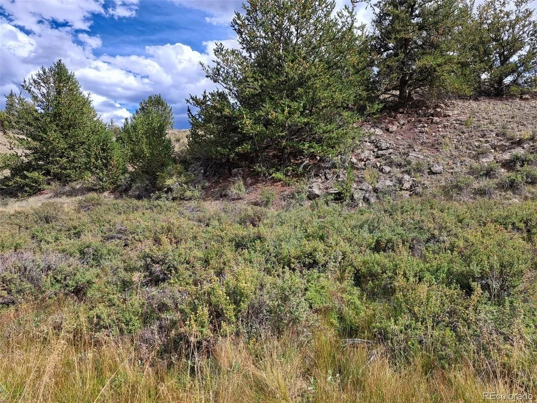 Photo of 736 Stagestop Rd