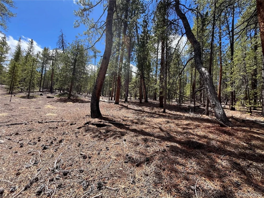 Photo of 1013 Sequoia Dr