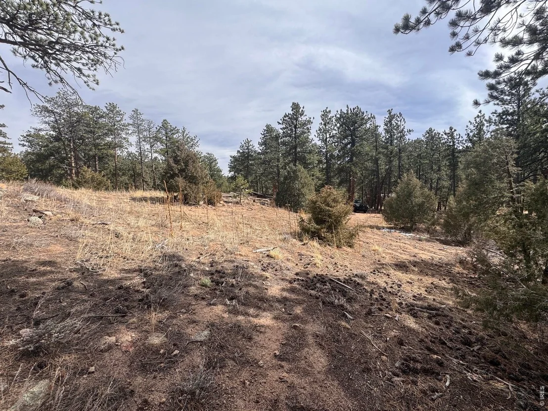 Photo of 0 Cedar Dr