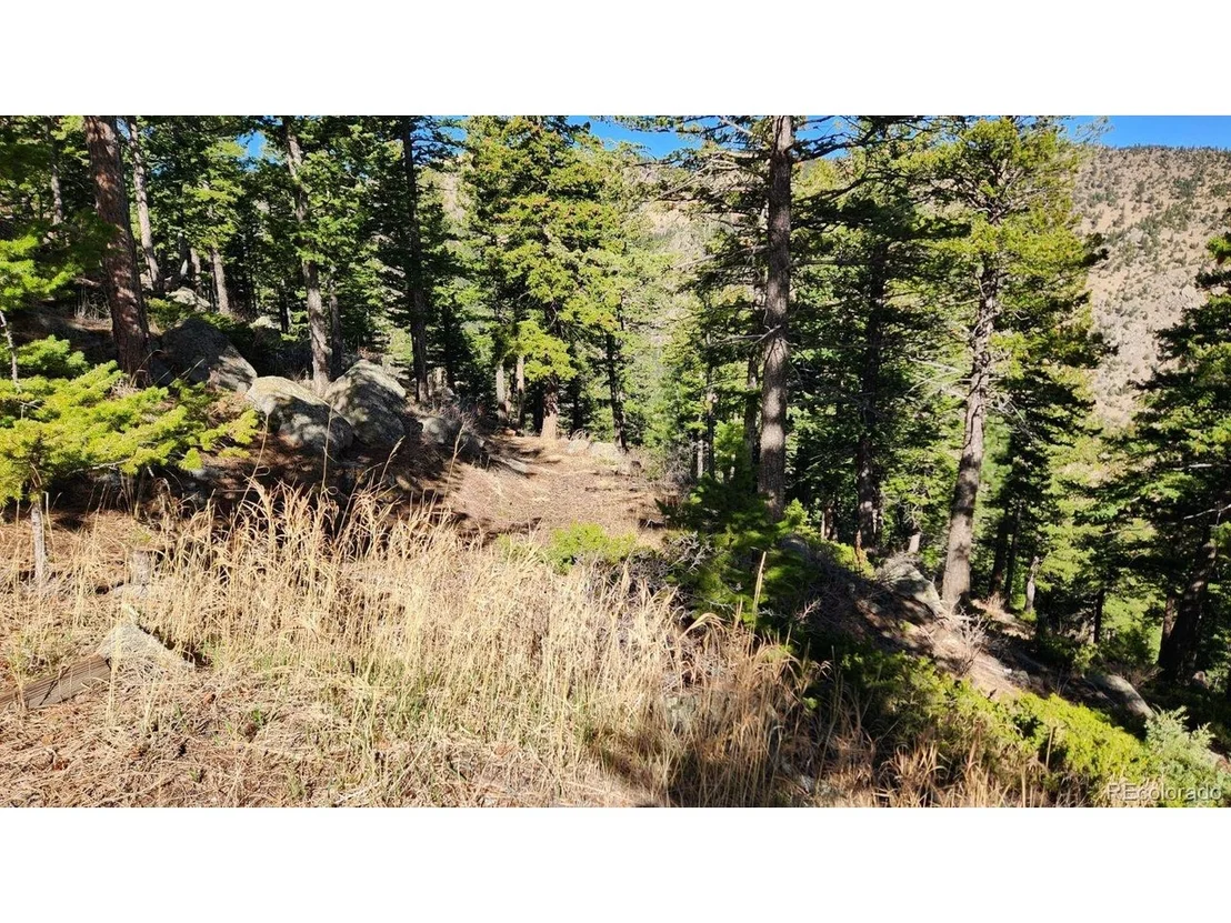 Photo of 347 Deer Trail Cir