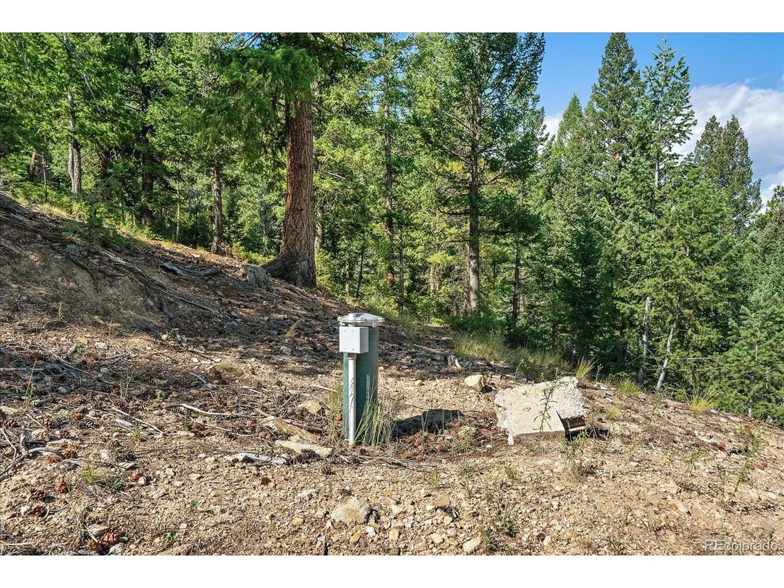 Photo of 33844 Bergen View Trl