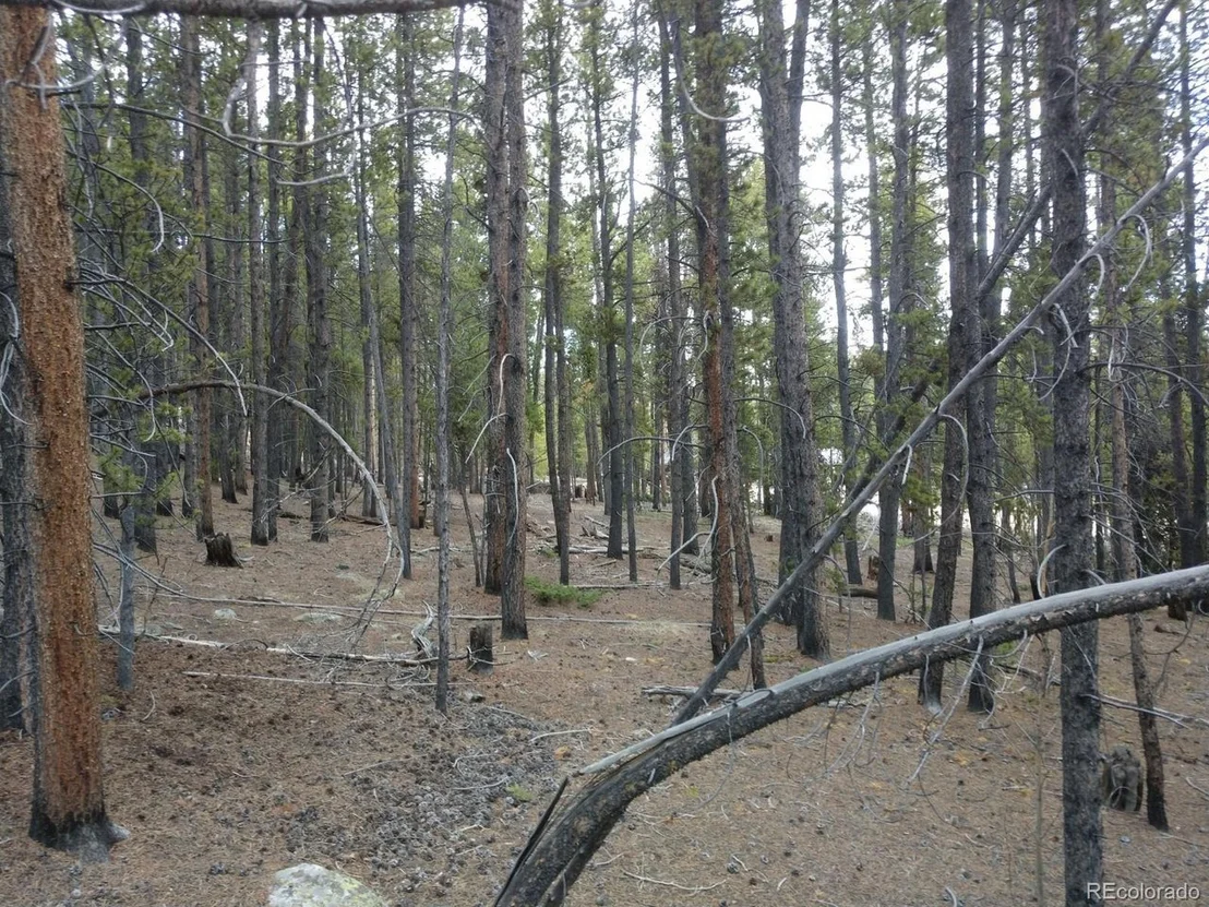 Photo of 317 Ski Doo Rd