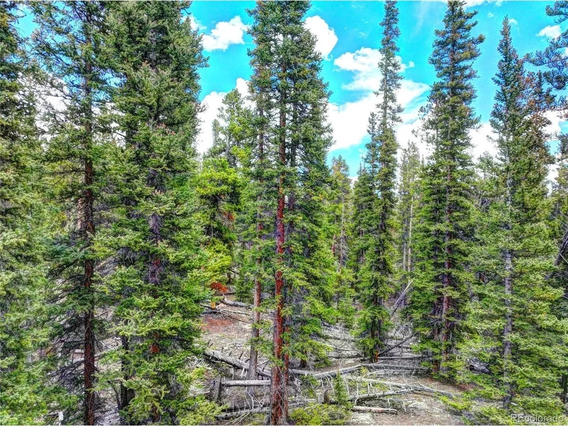 Photo of 0 Dry Gulch Rd