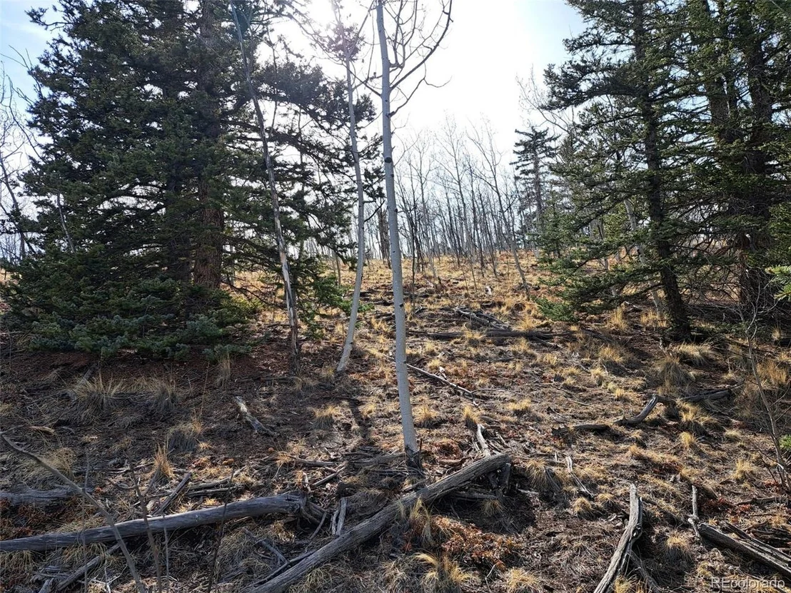 Photo of 93 Wyandot Way