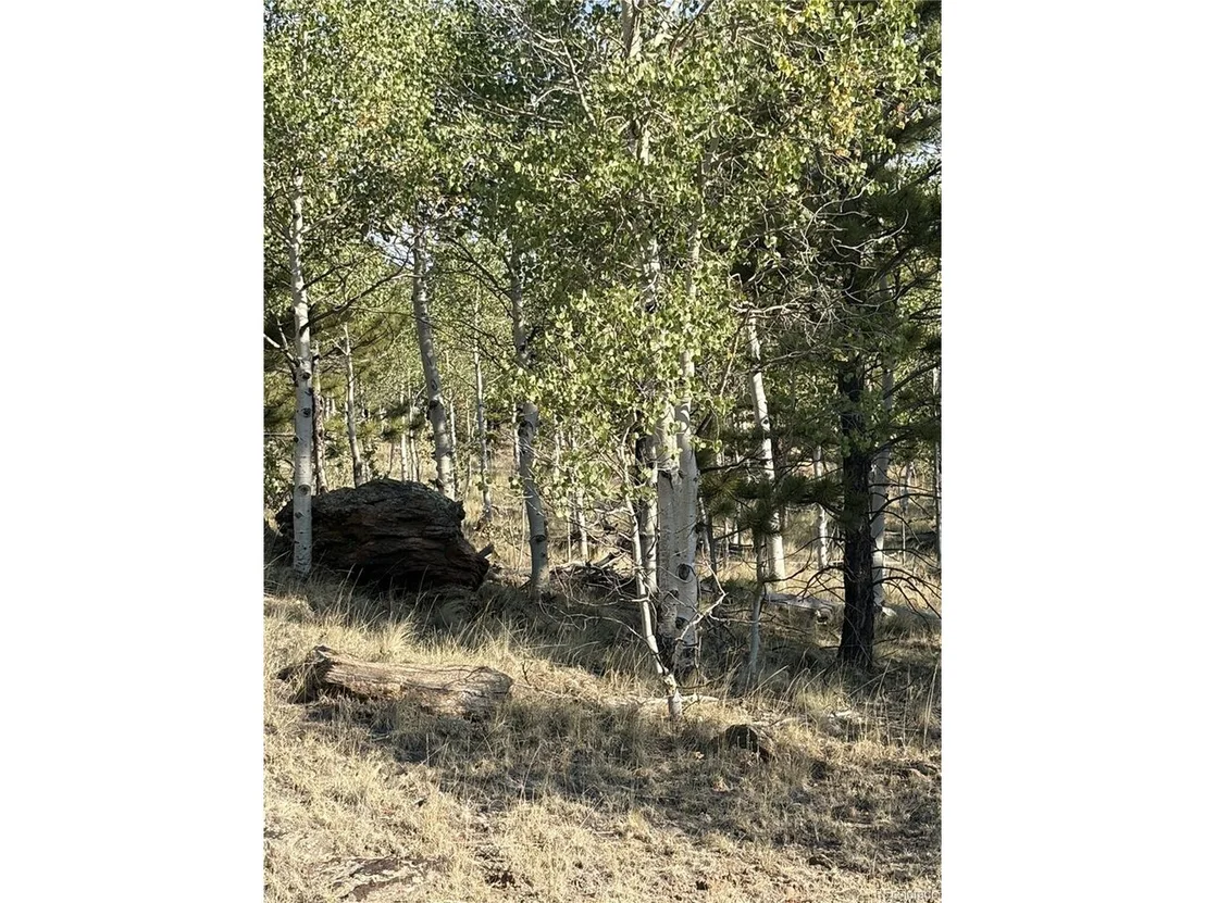 Photo of 3031 Mcdowell Dr