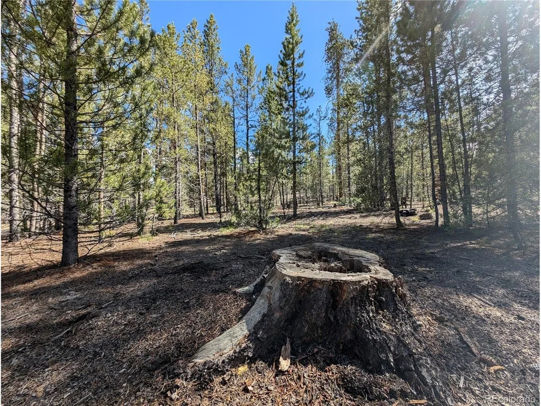 Photo of 495 Birch Dr