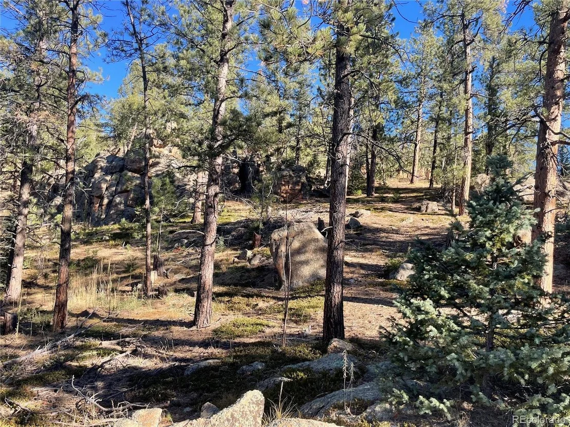 Photo of Shadow Mountain Dr