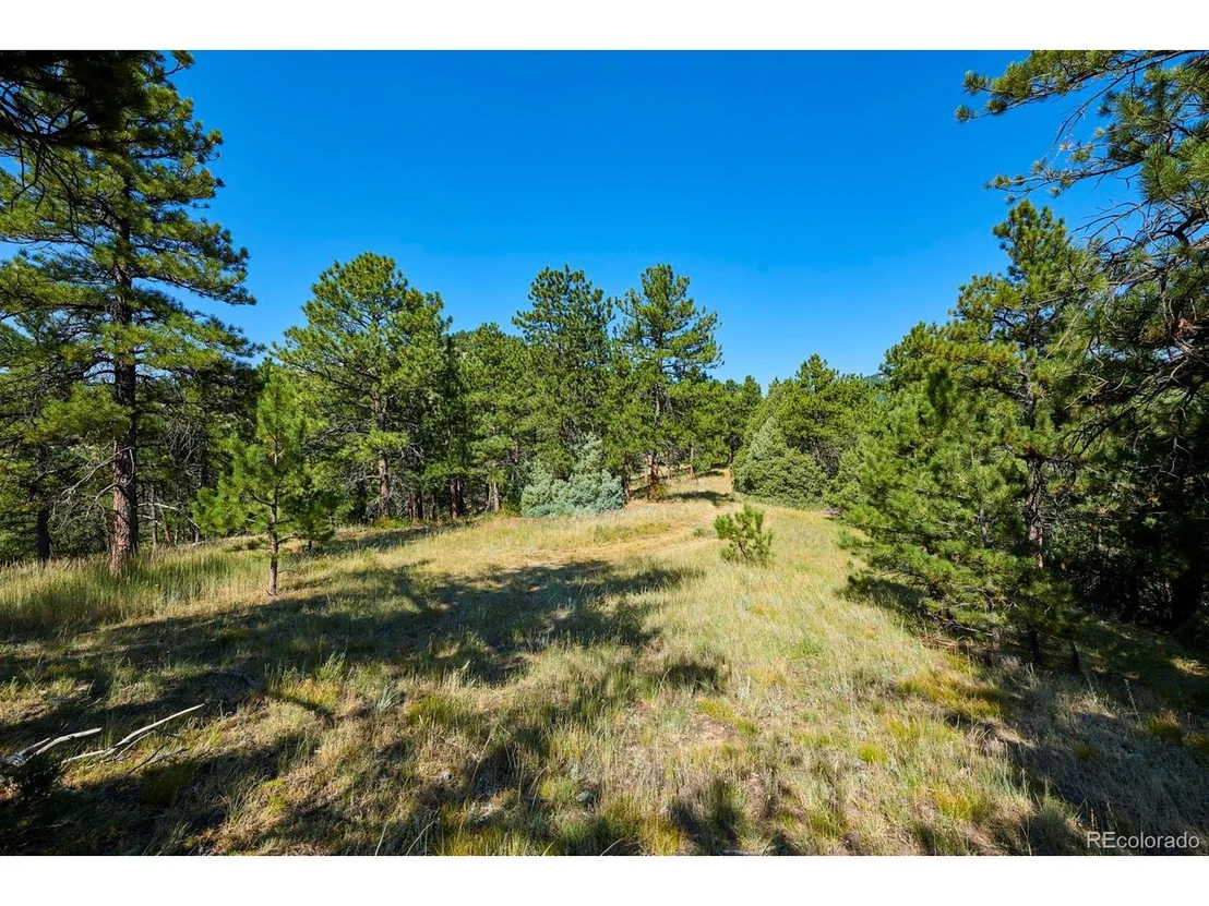 Photo of 9 Canyon View Rd