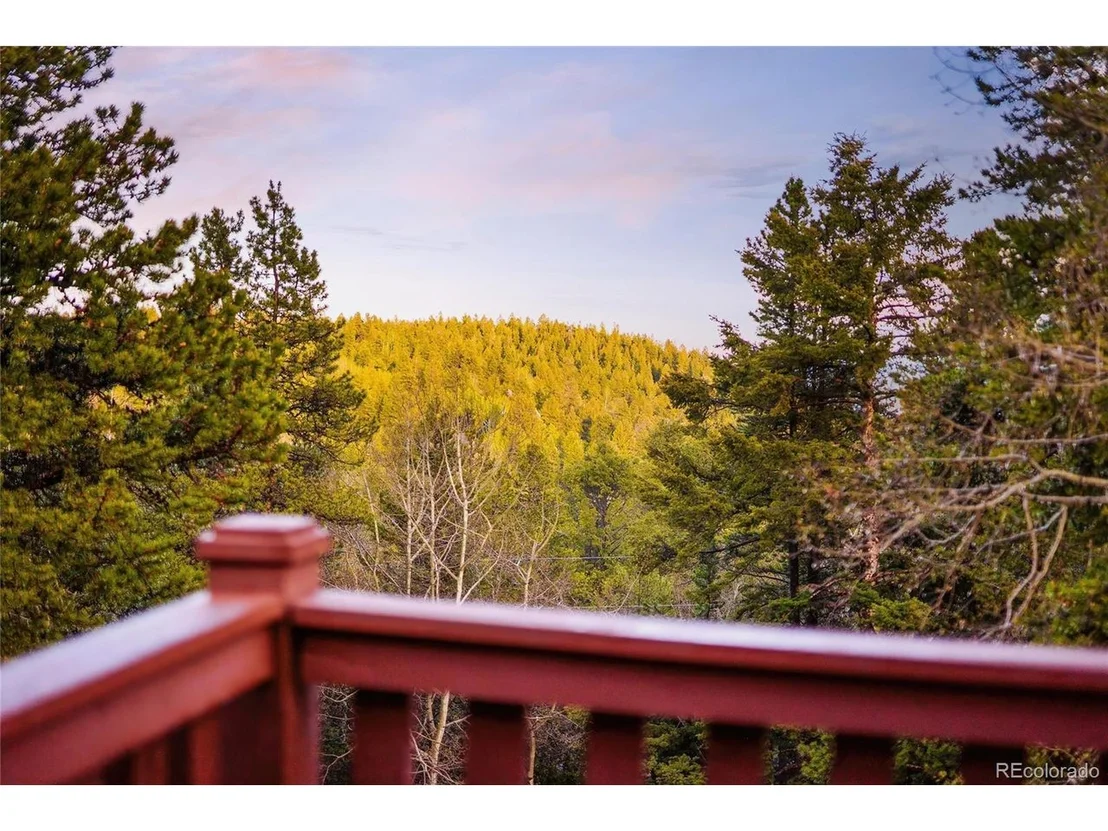 Photo of 11163 Conifer Mountain Rd