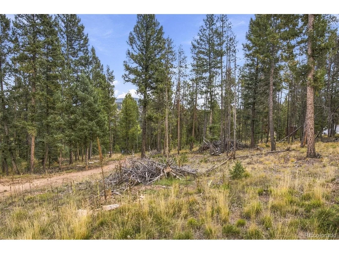 Photo of 27687 Pine Grove Trl