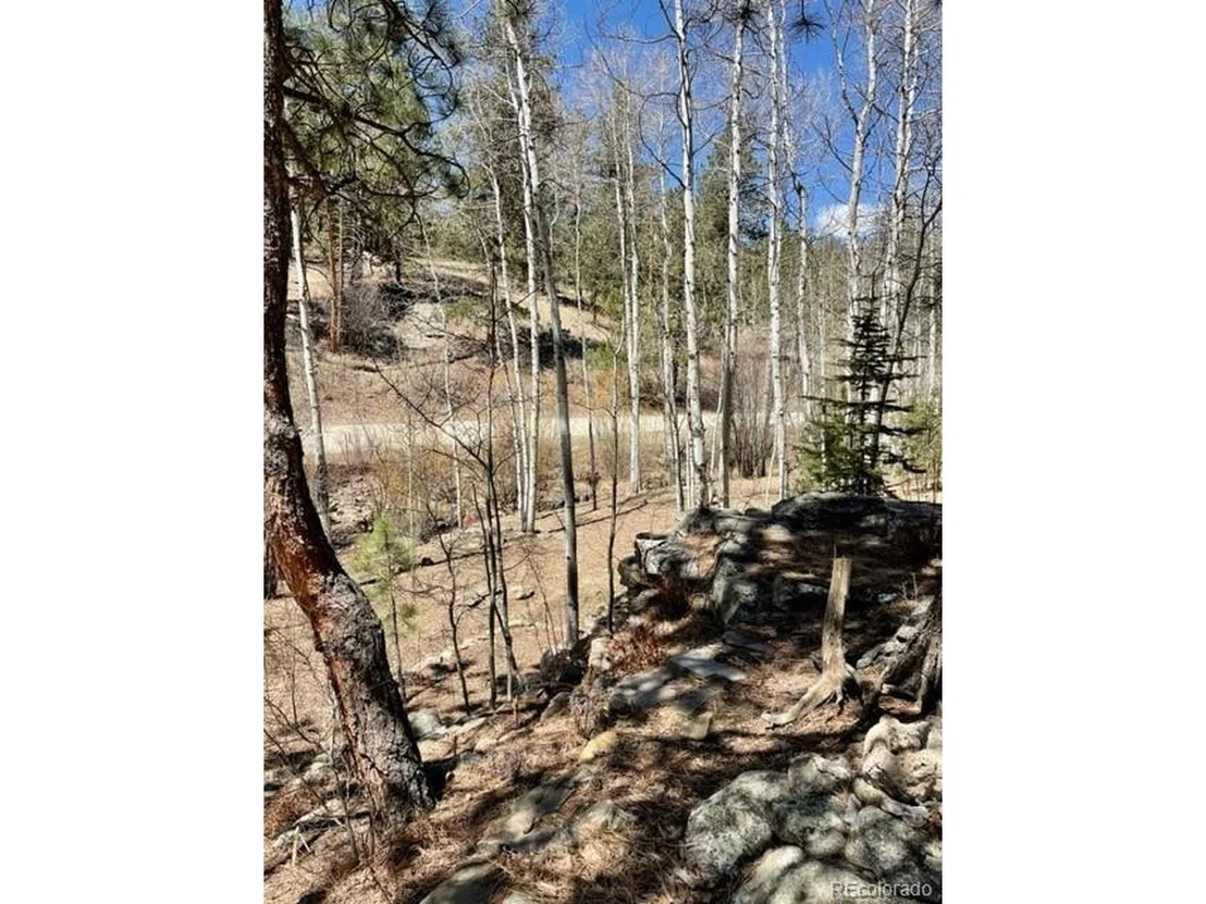 Photo of 694 Crow Valley Rd