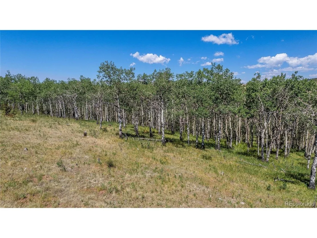 Photo of 3243 County Road 86