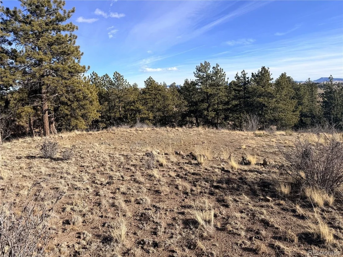 Photo of 729 Bridle Path