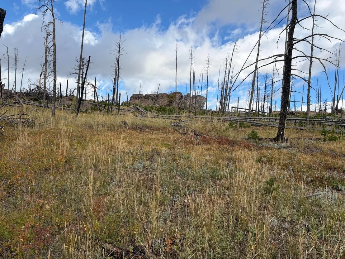Photo of 2025 Granite Rd