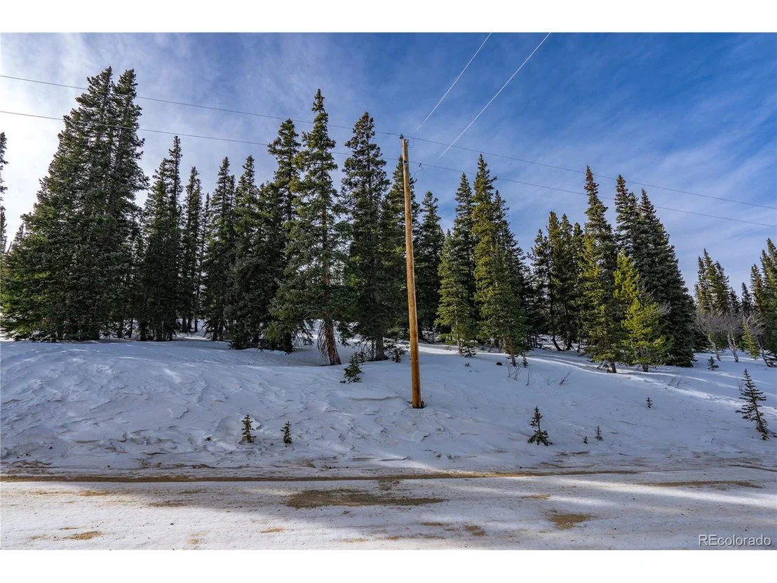 Photo of 503 Silverheels Pl