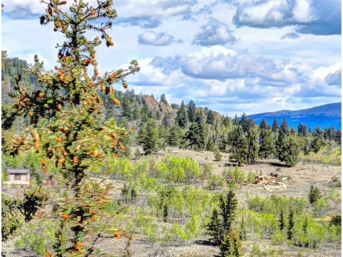 Photo of 75 Swiggler Rd