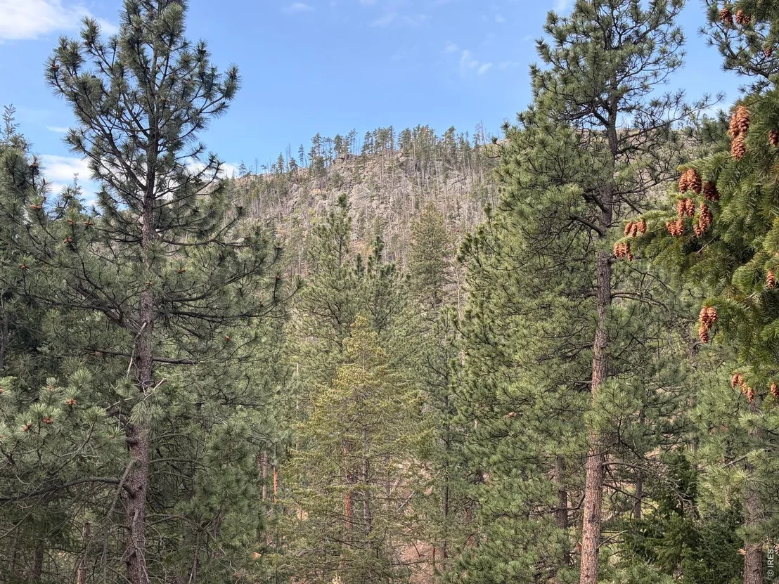 Photo of 1899 Spring Valley Rd