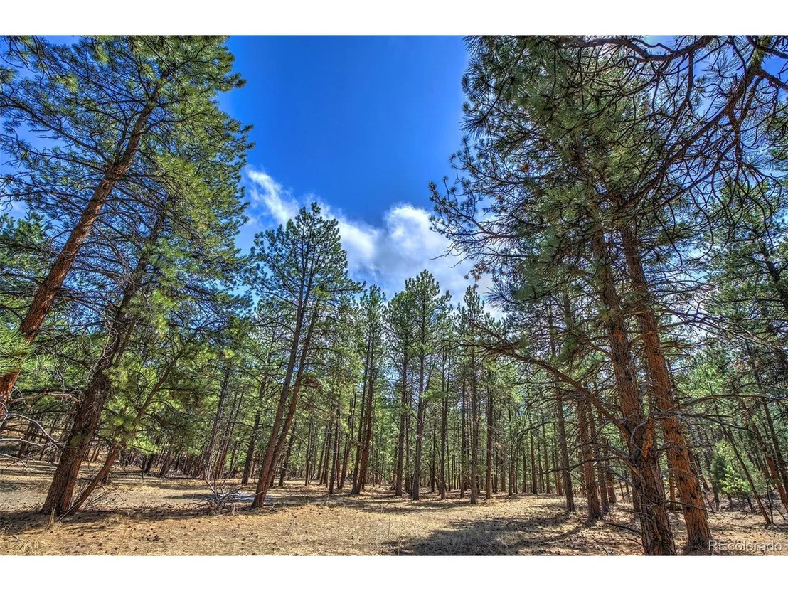 Photo of 27554 Pine Valley Dr
