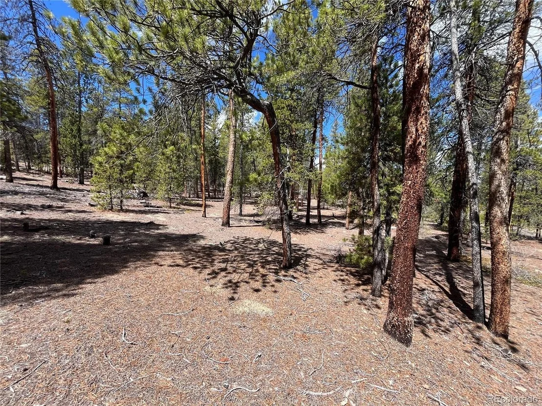 Photo of 1013 Sequoia Dr