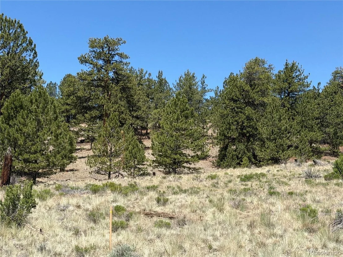 Photo of 595 Bridle Path