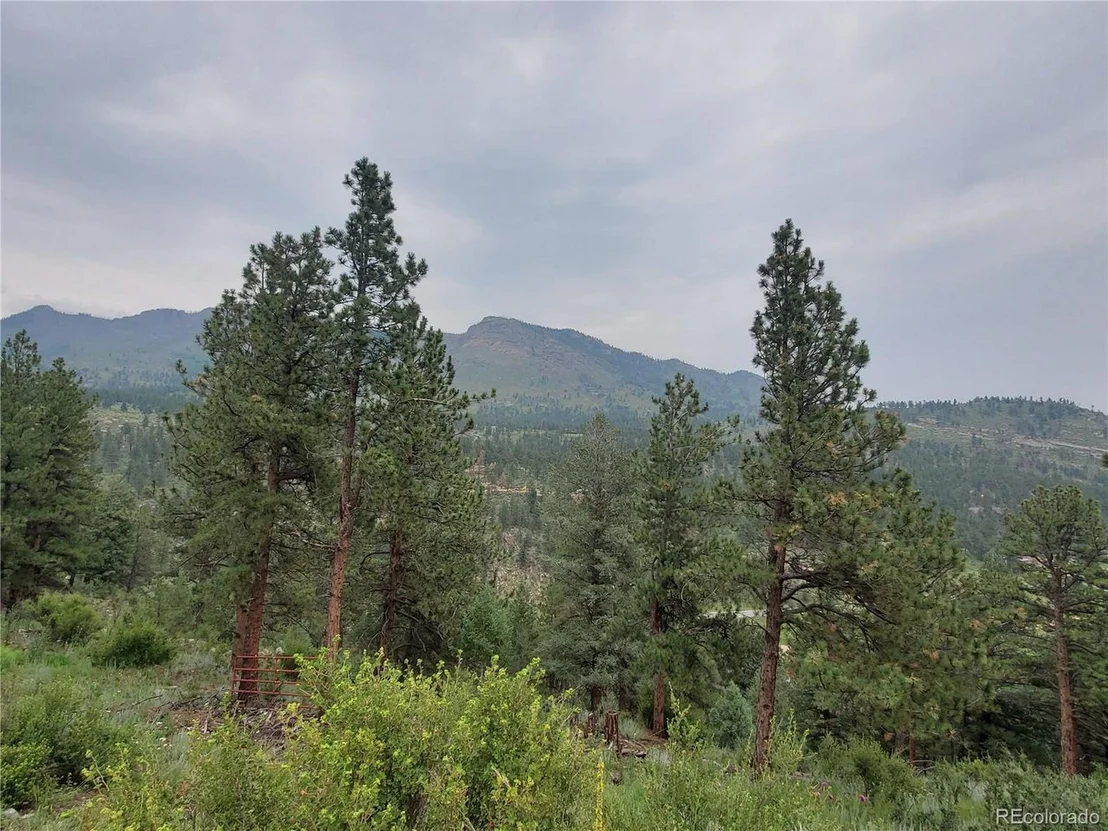 Photo of 1919 Old Stagecoach Rd