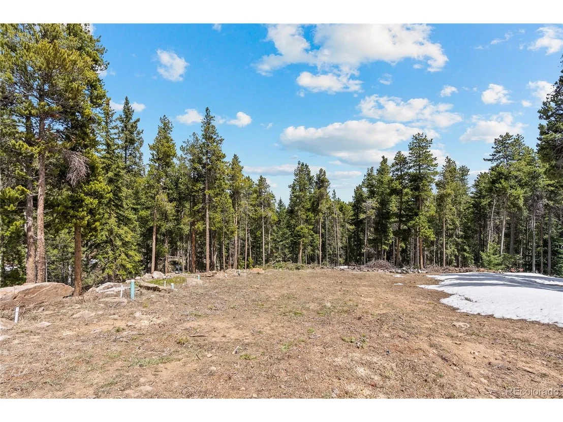 Photo of 1123 Lodgepole Dr