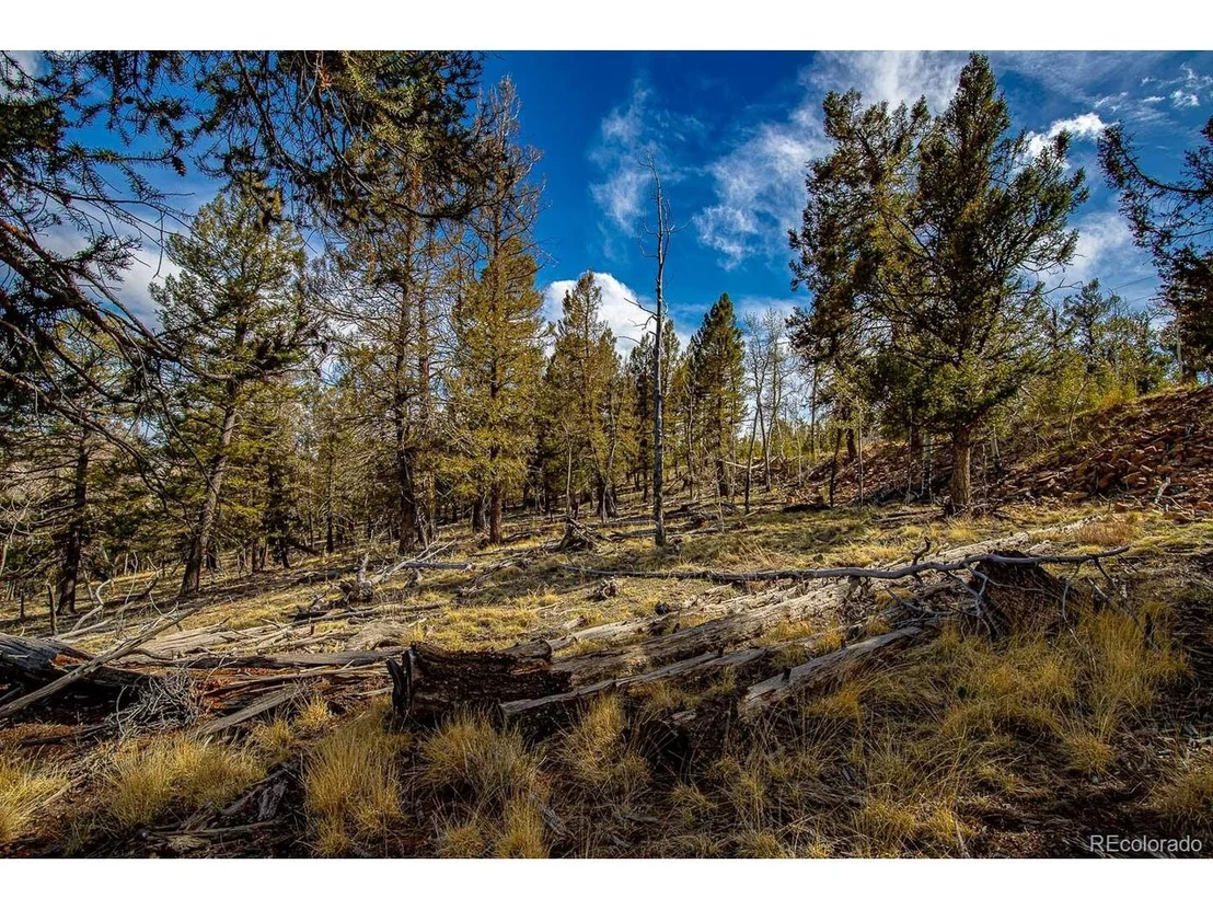 Photo of 5302 Middle Fork Vis