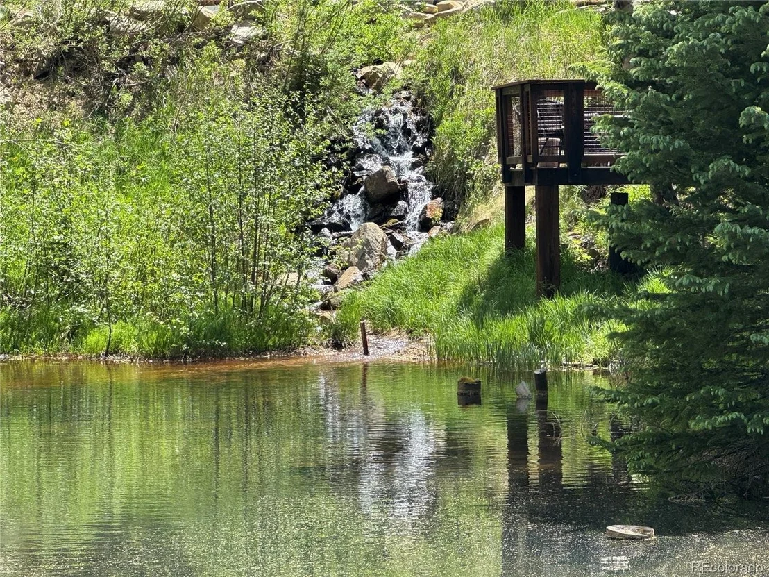 Photo of 1430 Lower Travis Gulch Rd
