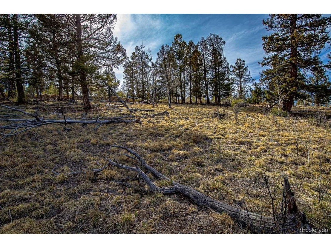 Photo of 5302 Middle Fork Vis