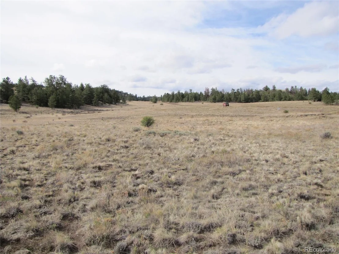 Photo of 487 Falcon Rd