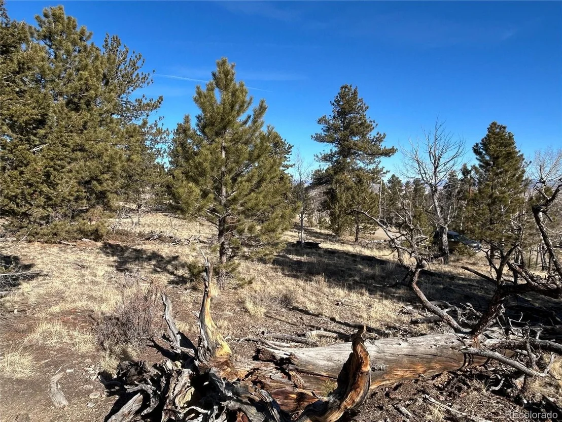 Photo of 3430 Singletree Rd