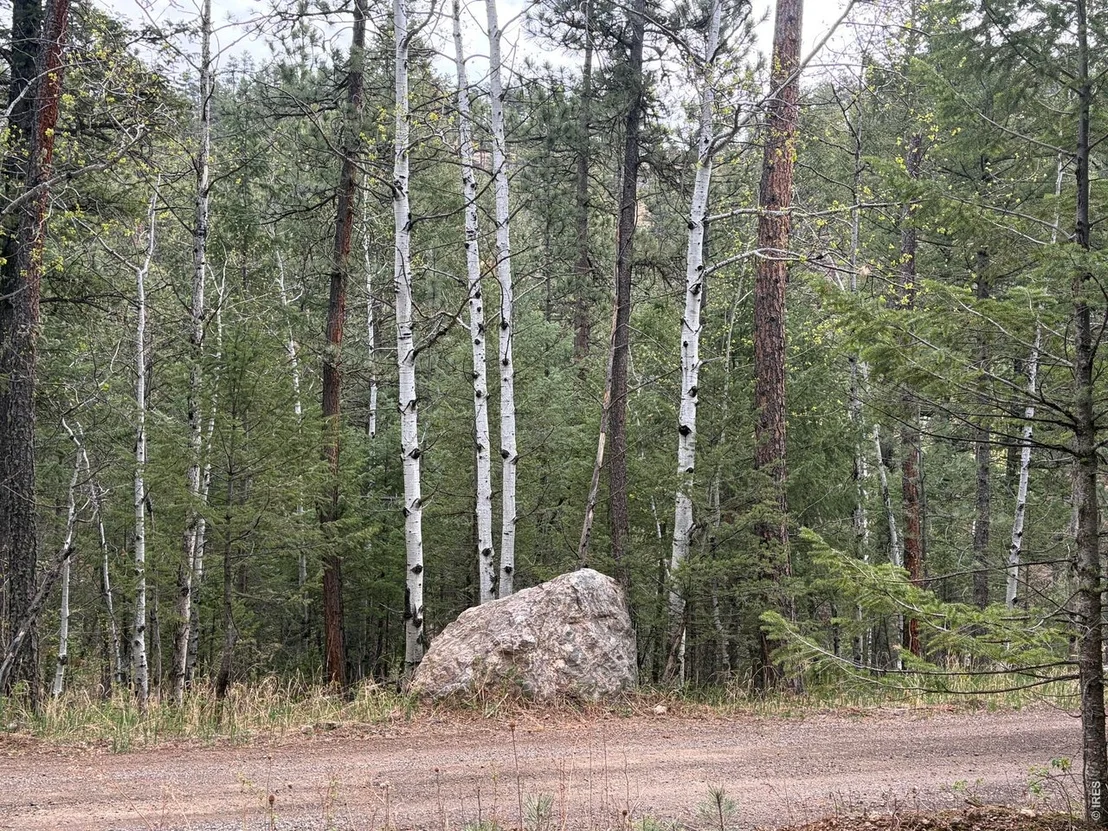 Photo of 1899 Spring Valley Rd