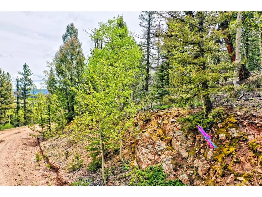 Photo of 28 Old Squaw Rd