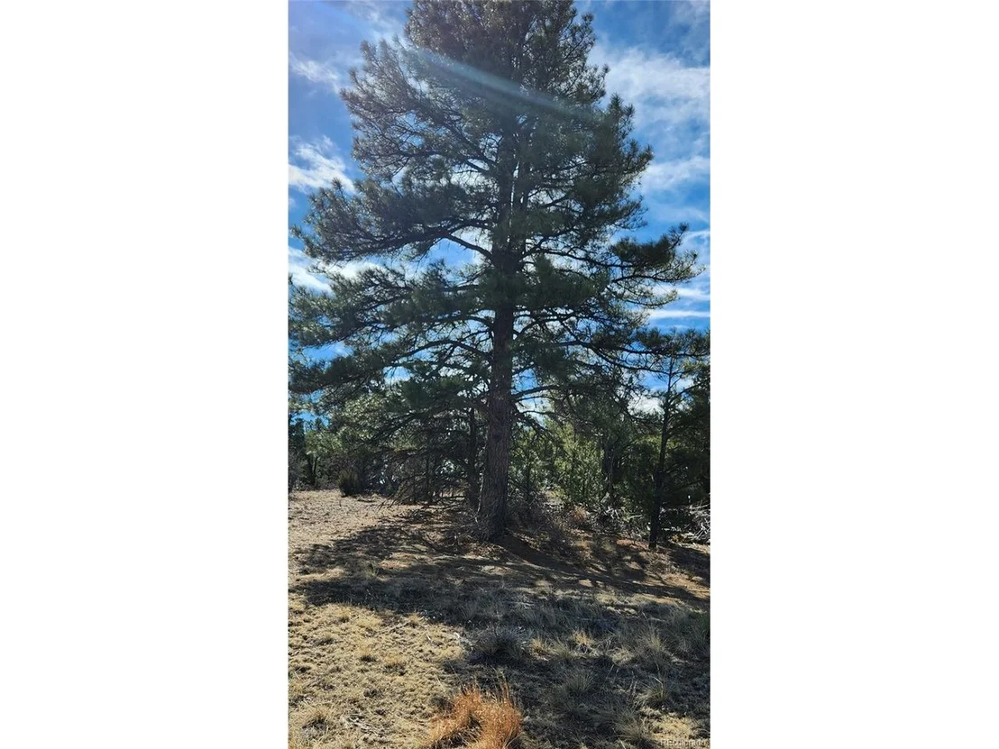 Photo of I Path