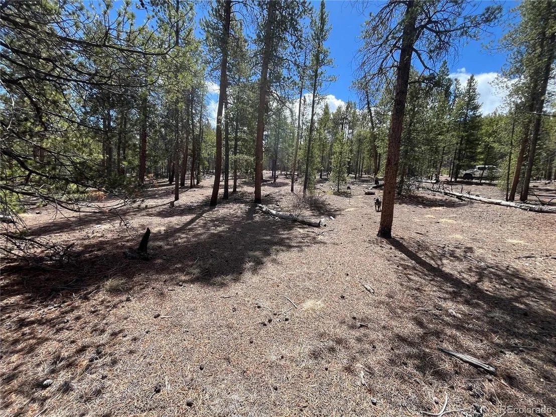 Photo of 1013 Sequoia Dr