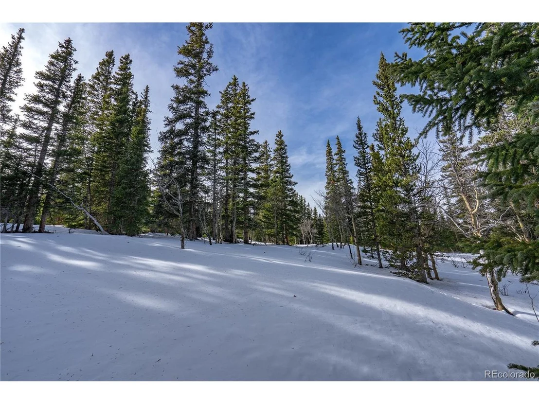 Photo of 503 Silverheels Pl