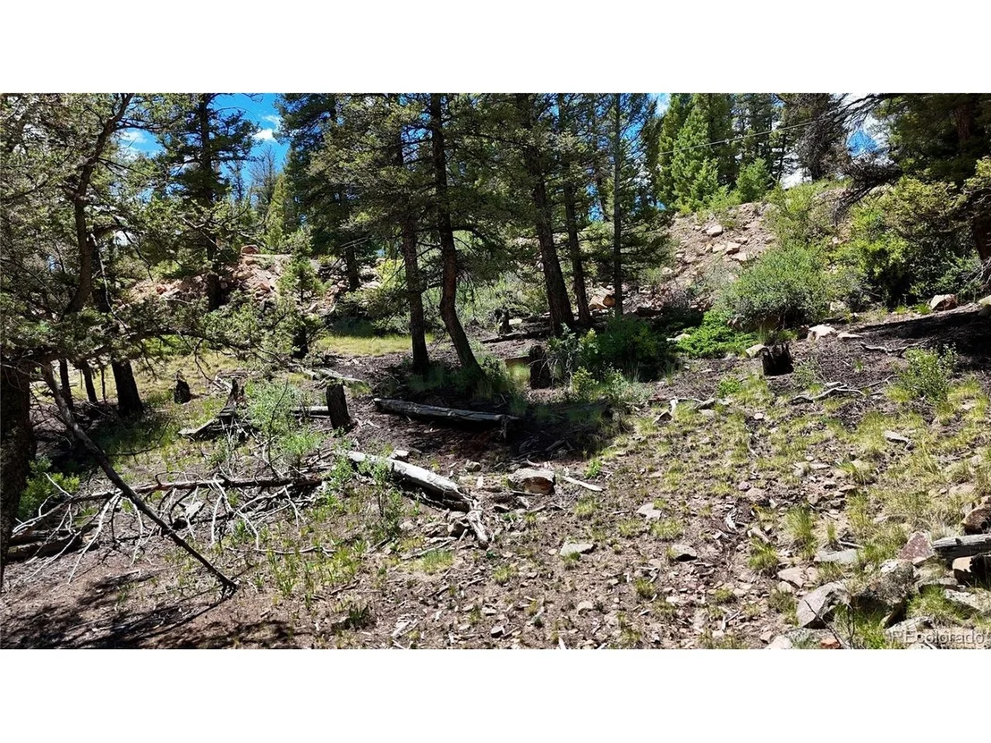 Photo of 1348 Middle Fork Vis