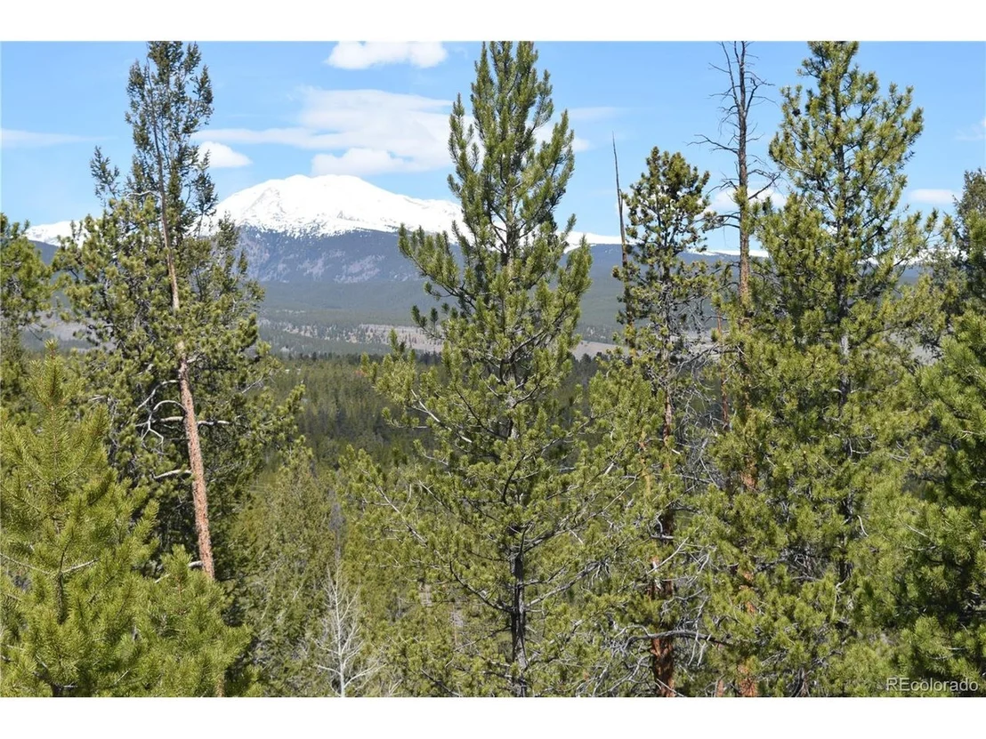 Photo of 483 Mt. Elbert Dr