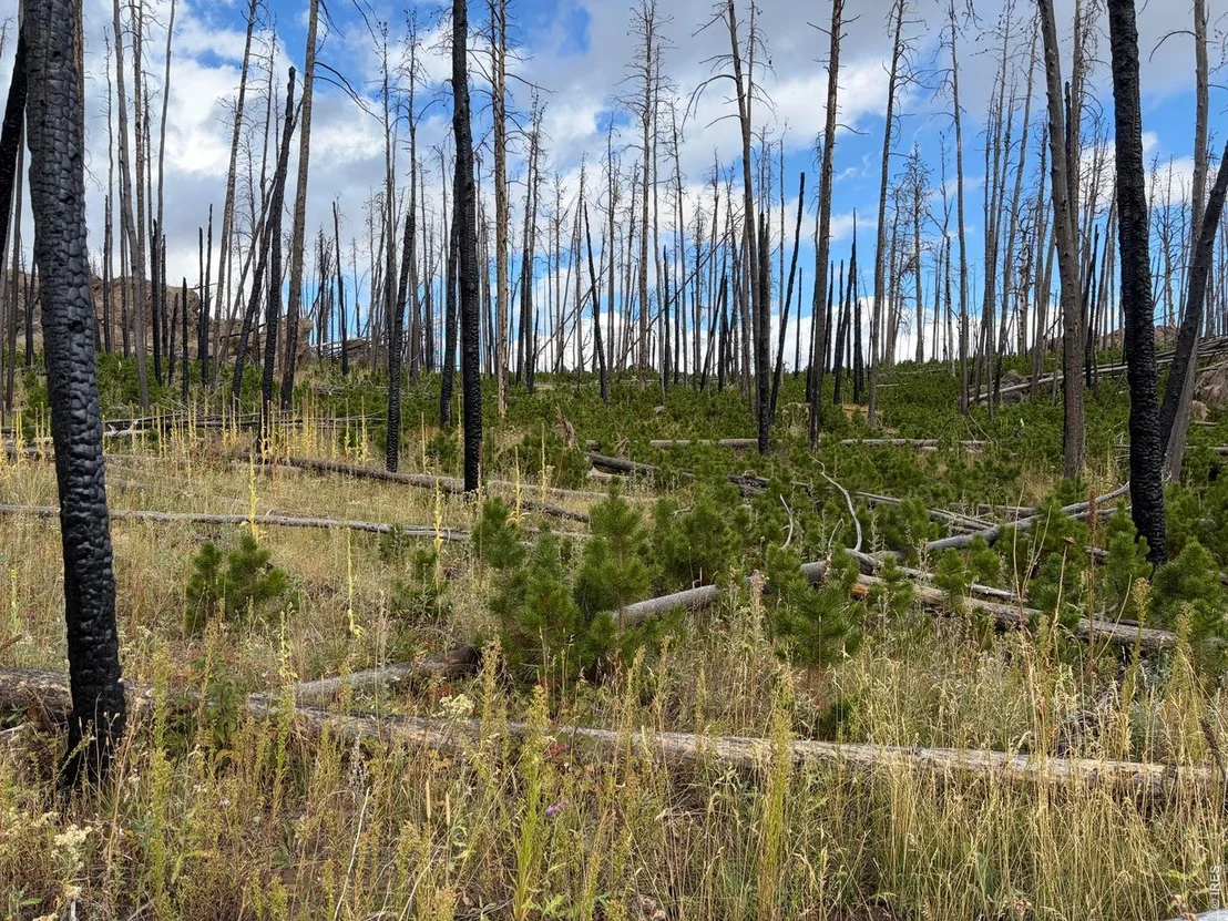 Photo of 2025 Granite Rd