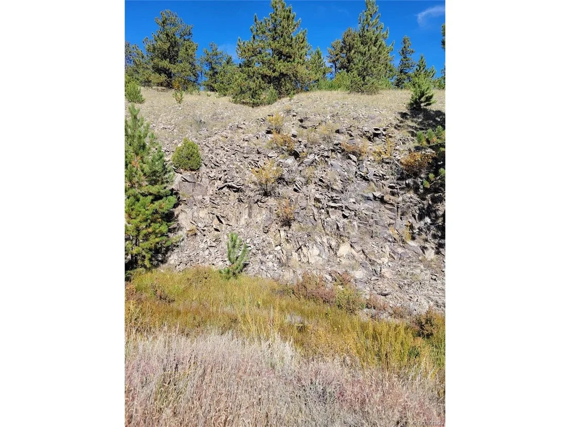 Photo of 1321 Bristlecone Rd