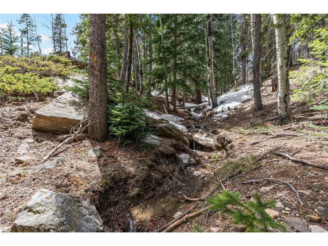 Photo of 1123 Lodgepole Dr