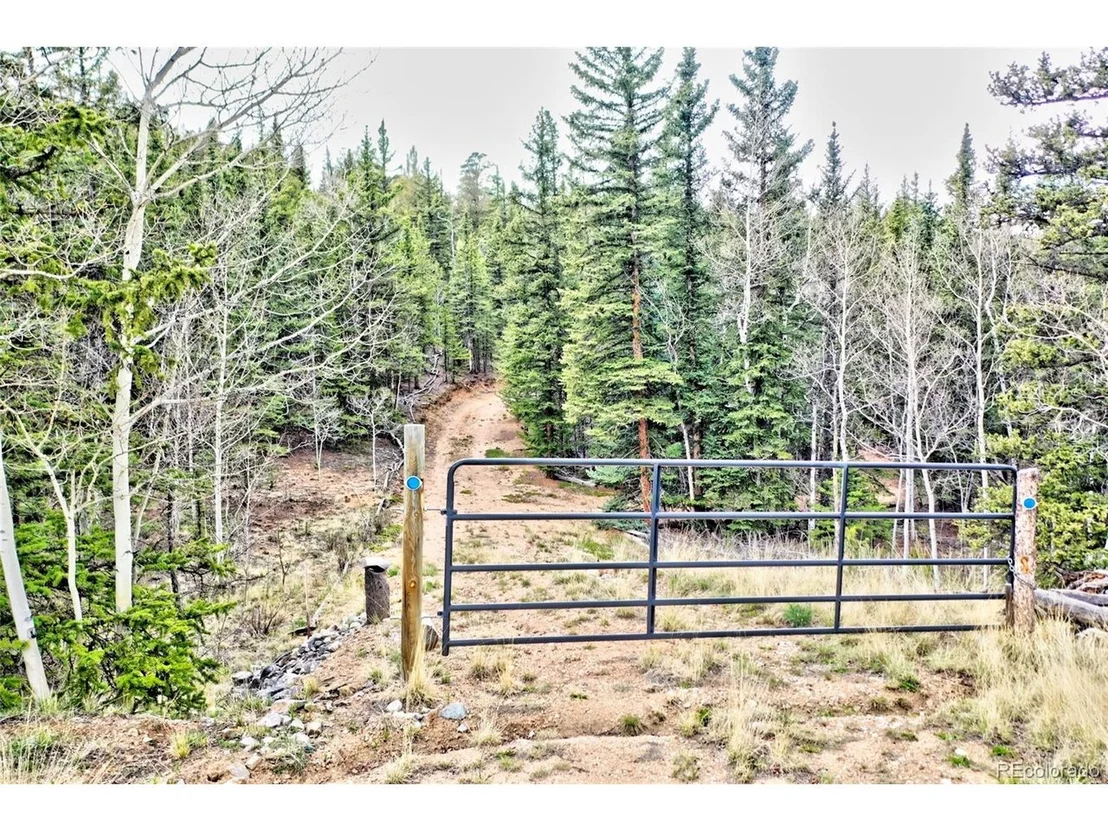 Photo of 243 Bear Way