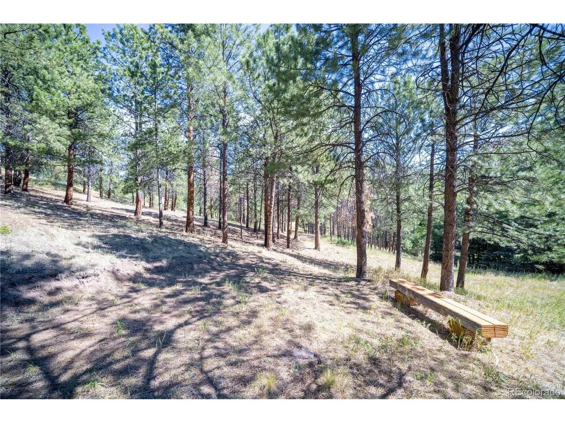 Photo of 14850 Quandary Peak Rd