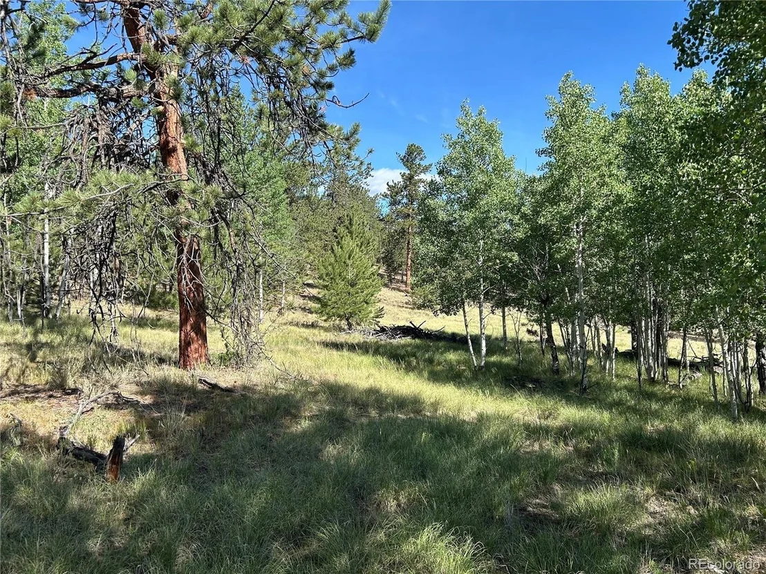 Photo of 519 Hayhook Way