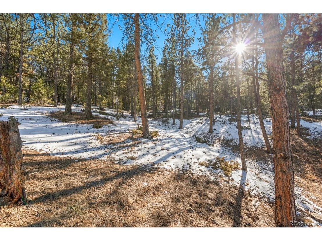 Photo of 186 Territory Dr