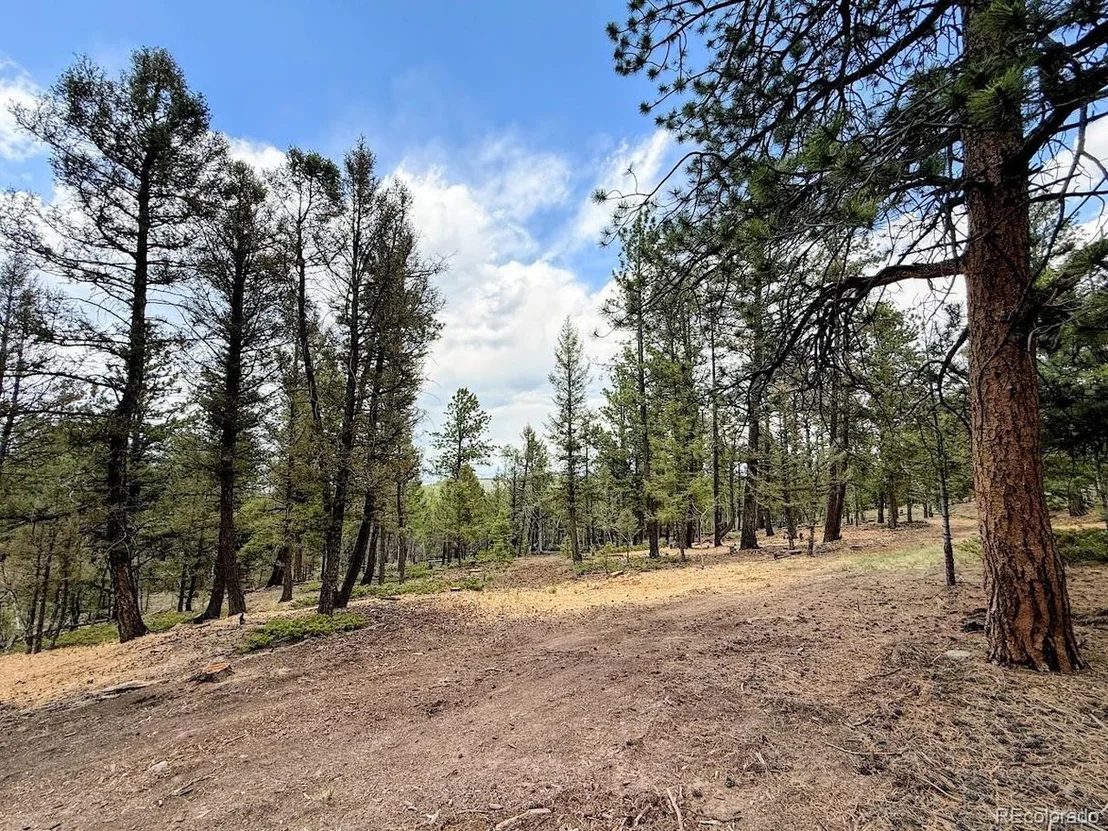 Photo of 1789 Bellows Rd