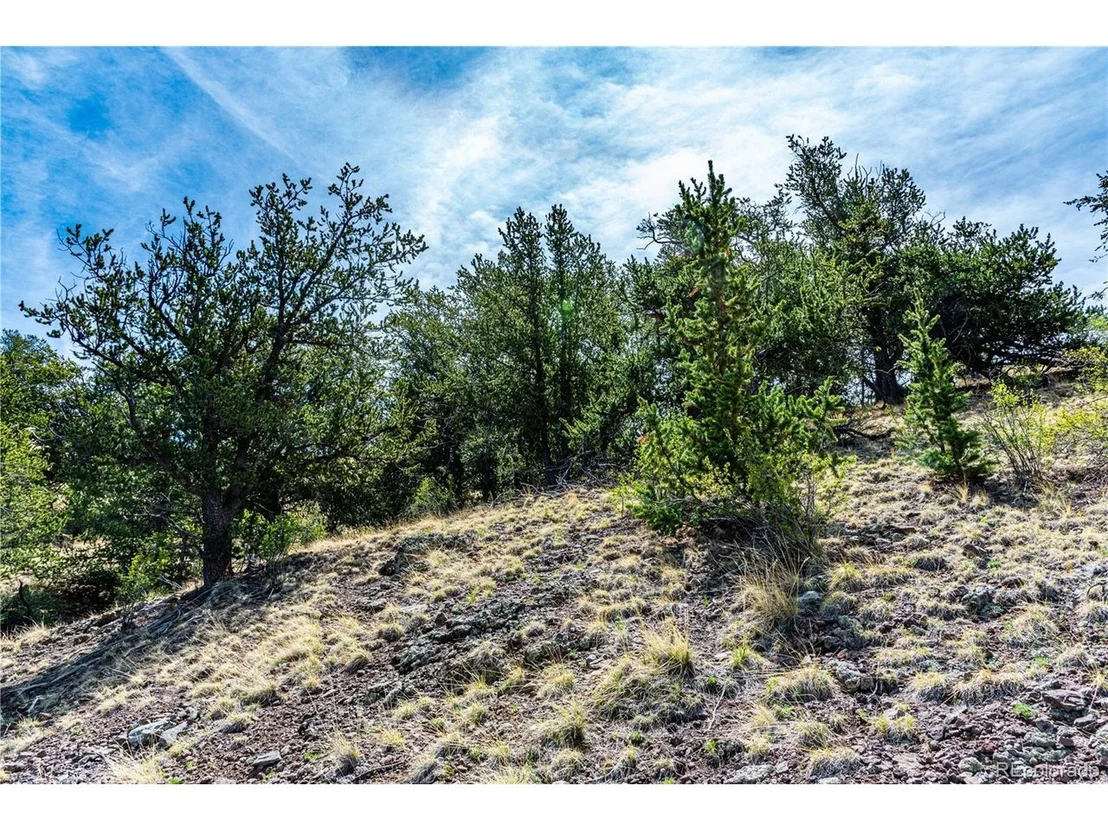 Photo of 1282 County Road 169a